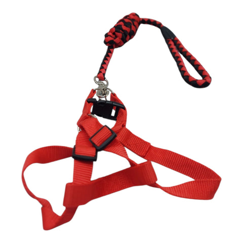 Dog Leash Large