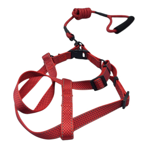 Dog Leash Large