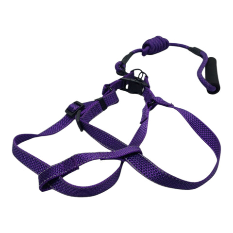 Dog Leash Large