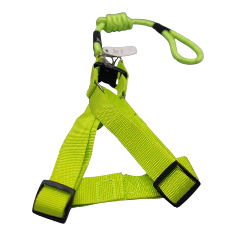 Dog Leash Large