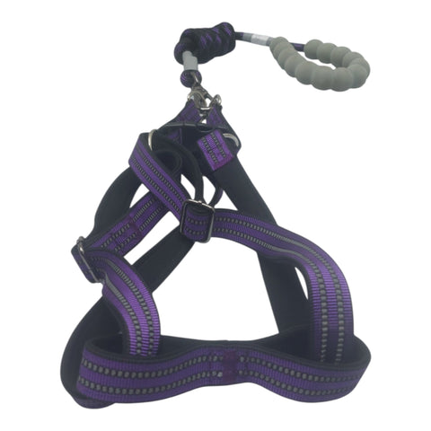 Dog Leash Large