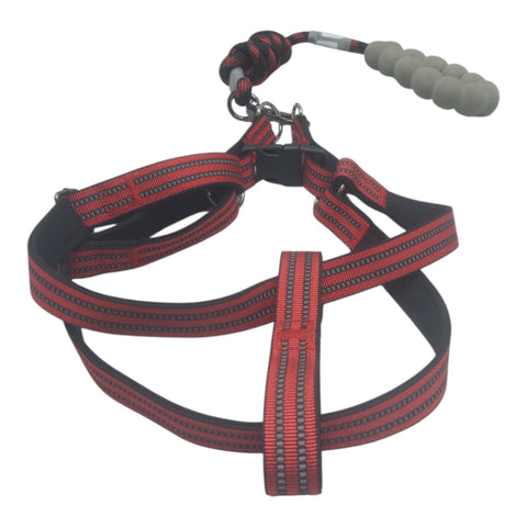 Dog Leash Large
