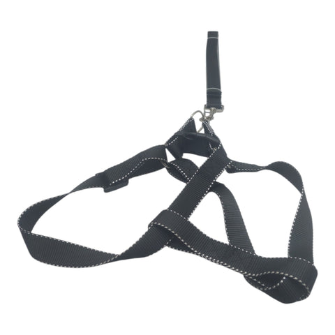 Dog Leash Large v