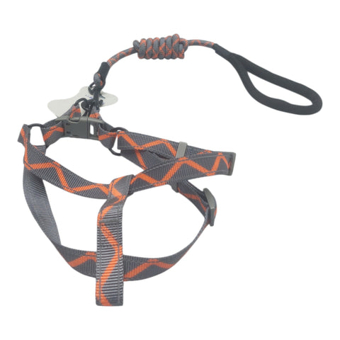 Dog Leash Large