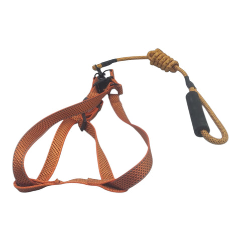 Dog Leash Large