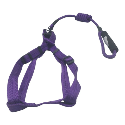 Dog Leash Large