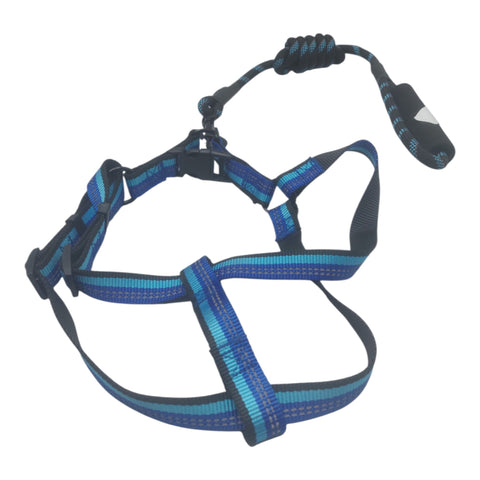Dog Leash Large