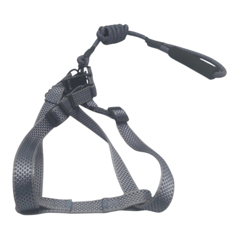 Dog Leash Large