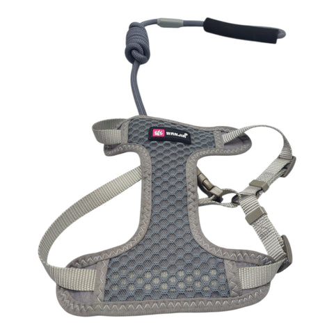 Dog Leash with Harness For Small Pet
