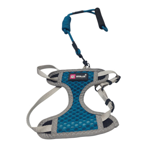 Dog Leash with Harness For Small Pet