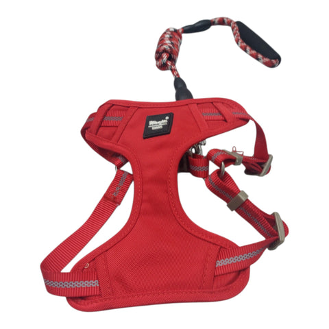 Dog Leash with Harness For Small Pet