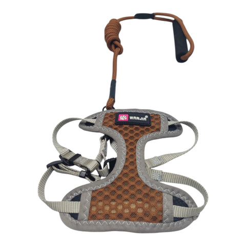 Dog Leash with Harness For Small Pet