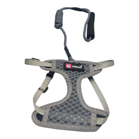Dog Leash with Harness For Small Pet