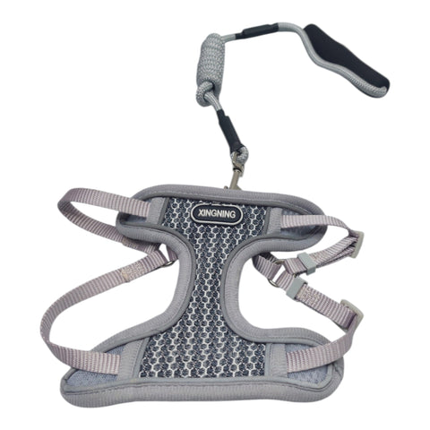 Dog Leash with Harness For Small Pet