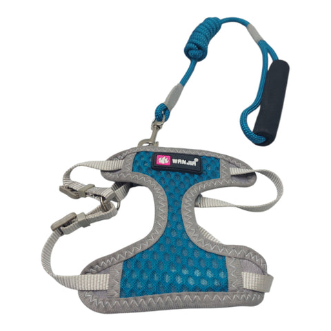 Dog Leash with Harness For Small Pet