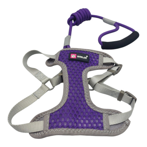 Dog Leash with Harness For Small Pet