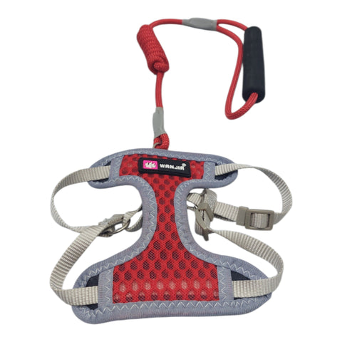 Dog Leash with Harness For Small Pet