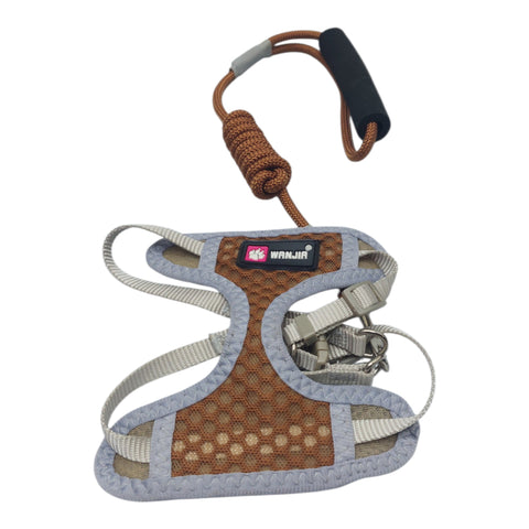 Dog Leash with Harness For Small Pet