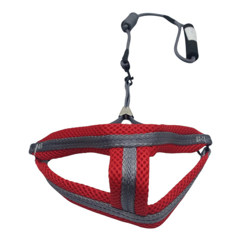 Dog Leash for Small Pet