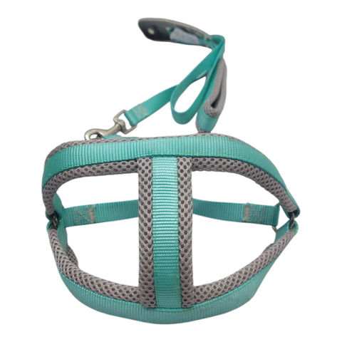 Dog Leash for Small Pet