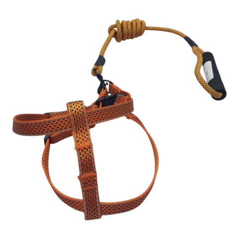 Dog Leash for Small Pet