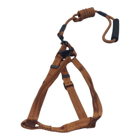 Dog Leash For Small to Meduim Pet