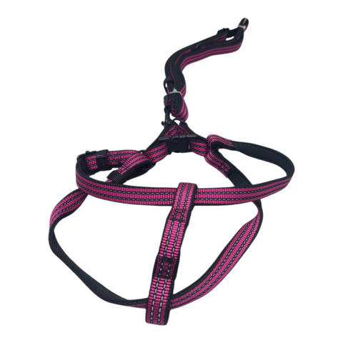 Dog Leash For Small to Meduim Pet