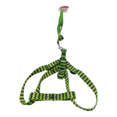 Dog Leash For Small to Meduim Pet