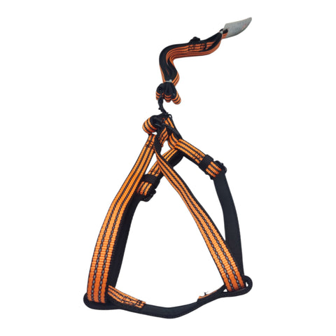 Dog Leash For Small to Meduim Pet