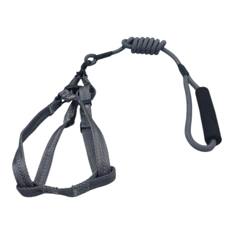 Dog Leash For Small to Meduim Pet