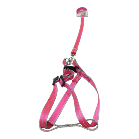 Dog Leash For Small to Meduim Pet