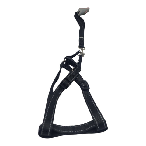 Dog Leash For Small to Meduim Pet