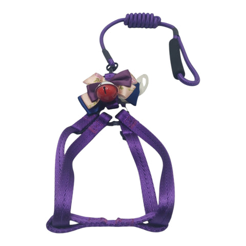 Dog Leash Small with Bow Detail