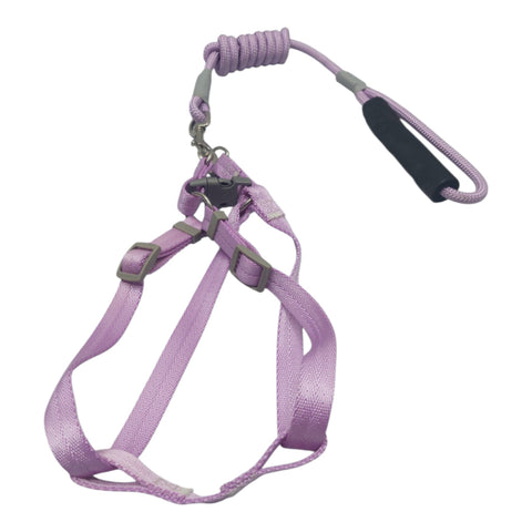 Dog Leash Small