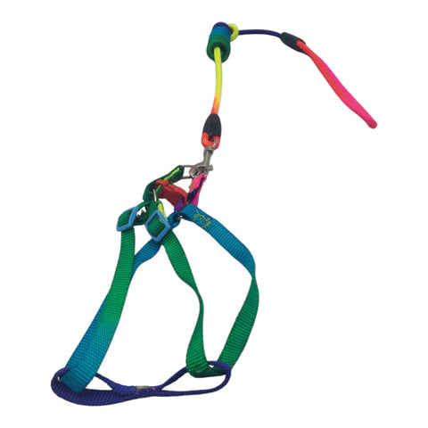 Dog Leash Small
