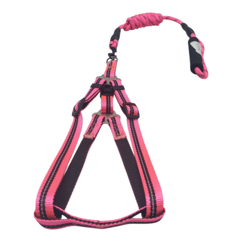 Dog Leash Small