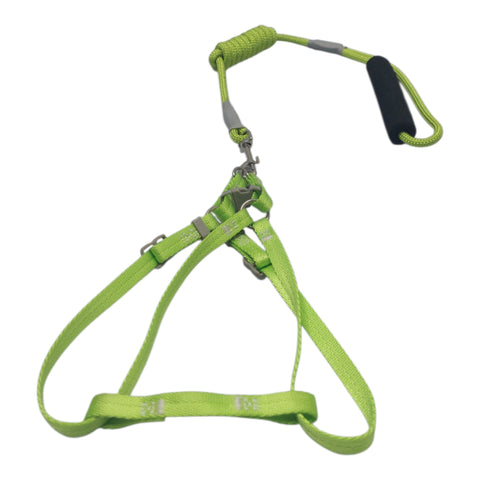 Dog Leash Small