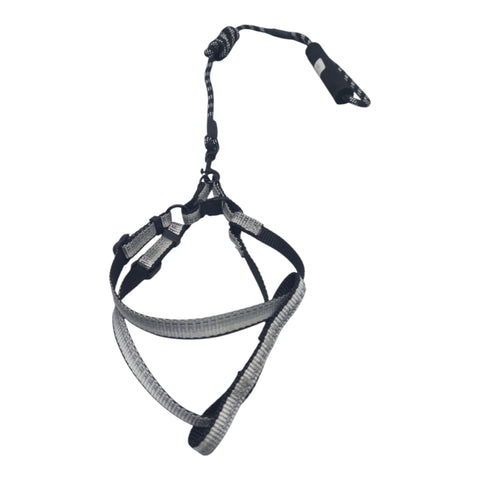 Dog Leash Small
