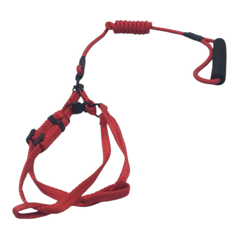 Dog Leash Small