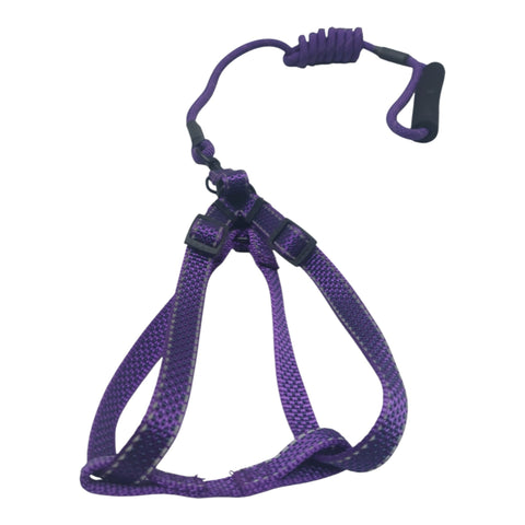 Dog Leash Small