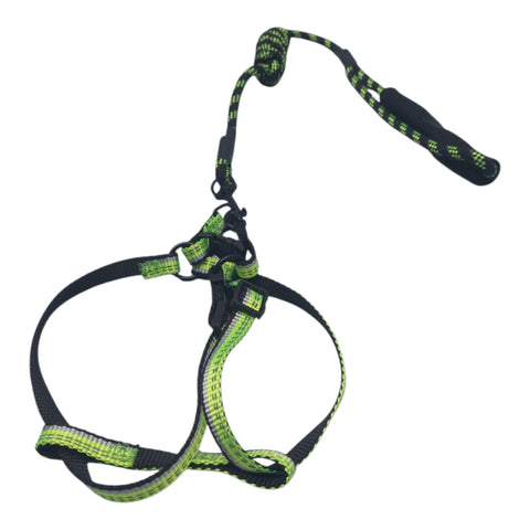 Dog Leash Small