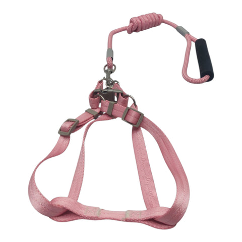 Dog Leash Small