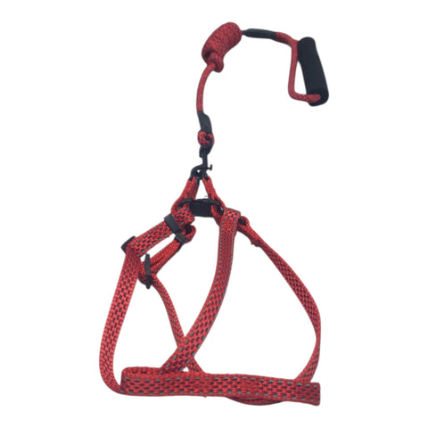 Dog Leash Small