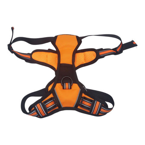 Pet Harness X Large