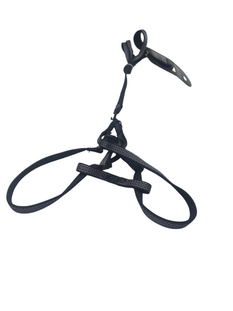 Dog Leash For Small Pet