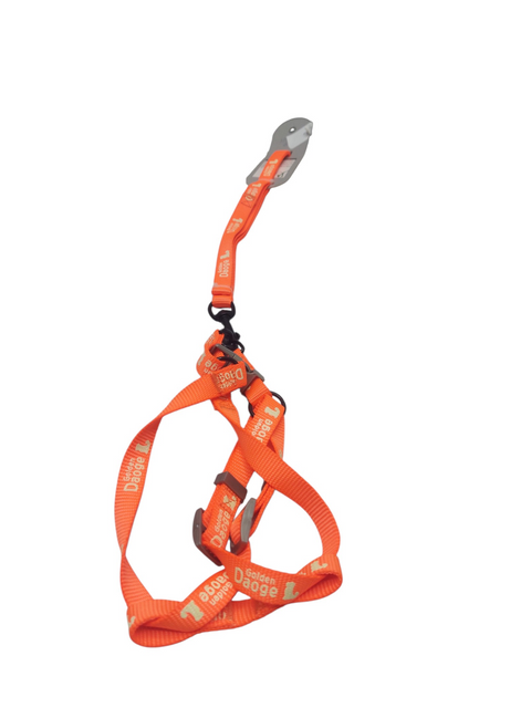 Dog Leash For Small Pet