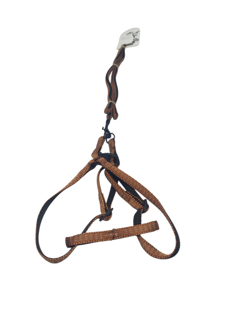 Dog Leash For Small Pet
