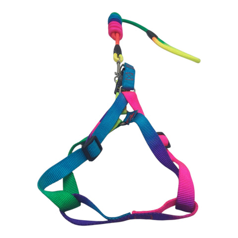 Dog Leash Meduim Pet