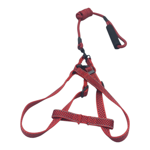 Dog Leash Meduim Pet