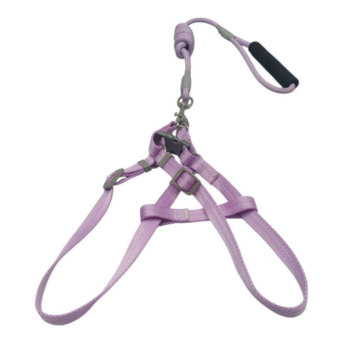Dog Leash Meduim Pet